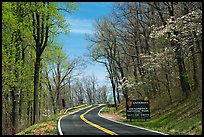 Skyline drive with Park entrance sign. Shenandoah National Park, Virginia, USA.