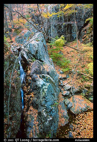 Waterfall of the Rose River and fall colors. Shenandoah National Park, Virginia, USA.
