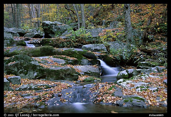 Hogcamp Branch of the Rose River. Shenandoah National Park (color)