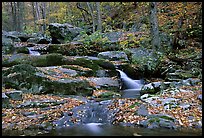 Hogcamp Branch of the Rose River. Shenandoah National Park, Virginia, USA. (color)