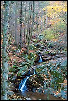 Cascades in fall, Hogcamp Branch of the Rose River. Shenandoah National Park, Virginia, USA.