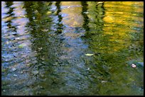 Reflections with fall colors. Shenandoah National Park, Virginia, USA. (color)