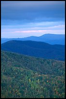 Hillside and receding ridges in autumn. Shenandoah National Park ( color)