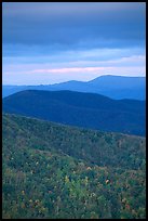 Hillside and receding ridges in autumn. Shenandoah National Park, Virginia, USA.