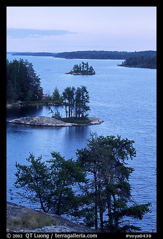 Islets and conifers, Anderson bay. Voyageurs National Park, Minnesota, USA.