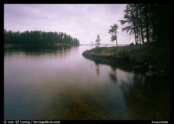 Windmill Rock Cove and trees. Voyageurs National Park (color)