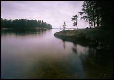 Windmill Rock Cove and trees. Voyageurs National Park, Minnesota, USA. (color)