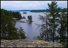 Islet and trees, Anderson Bay. Voyageurs National Park, Minnesota, USA.