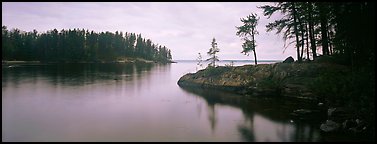 Forested cove. Voyageurs National Park (Panoramic color)