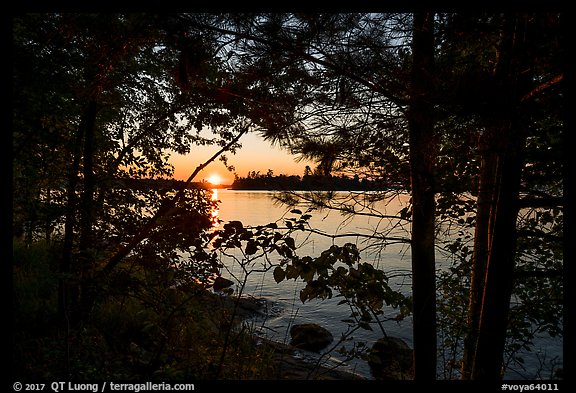 Sunset through trees, Kabetogama Lake. Voyageurs National Park (color)
