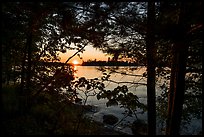 Sunset through trees, Kabetogama Lake. Voyageurs National Park ( color)
