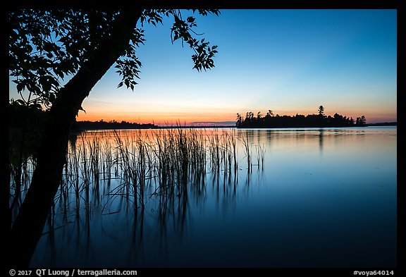 Grasses and Bittersweet Island at sunset, Kabetogama Lake. Voyageurs National Park (color)