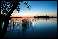 Grasses and Bittersweet Island at sunset, Kabetogama Lake. Voyageurs National Park ( color)