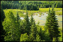 Beaver Pond Overlook, Ash River. Voyageurs National Park ( color)
