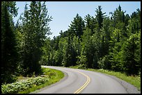 Road, Ash River. Voyageurs National Park ( color)