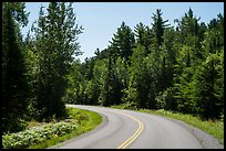 Road, Ash River. Voyageurs National Park, Minnesota, USA.