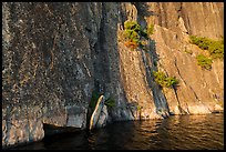 Cliff base, Grassy Bay. Voyageurs National Park ( color)