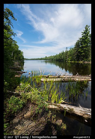 Beast Lake. Voyageurs National Park (color)