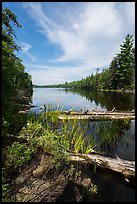 Beast Lake. Voyageurs National Park ( color)