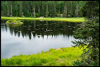 Beaver pond. Voyageurs National Park ( color)