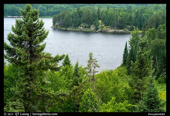 Peary Lake from overlook. Voyageurs National Park (color)