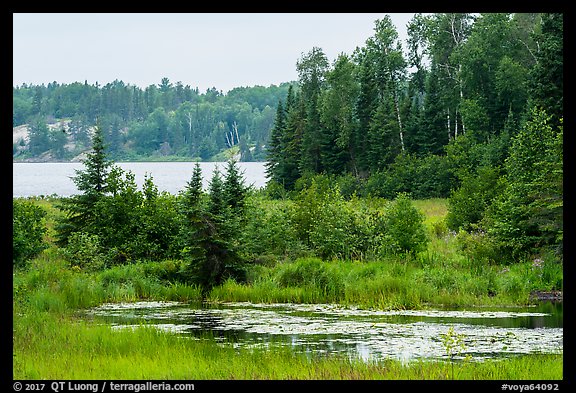 Pond and Peary Lake. Voyageurs National Park (color)