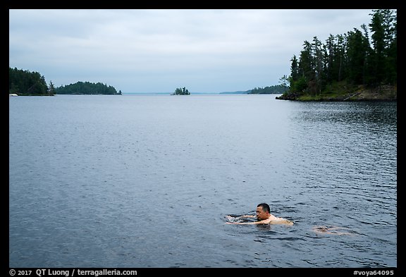 Man swimming, Anderson Bay. Voyageurs National Park (color)
