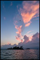 Bird, islets and clouds at sunset, Rainy Lake. Voyageurs National Park ( color)