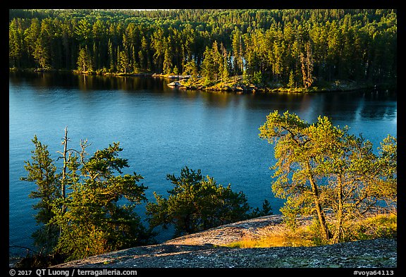 Granite rocks and trees above Anderson Bay. Voyageurs National Park (color)