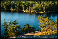 Granite rocks and trees above Anderson Bay. Voyageurs National Park ( color)