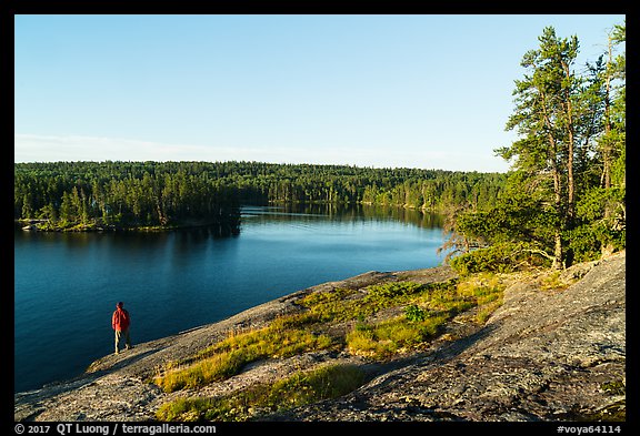 Visitor looking, Anderson Bay. Voyageurs National Park, Minnesota, USA.