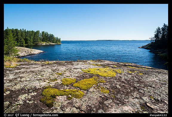 Mosses on granite slab, Windmill Rock Cove. Voyageurs National Park (color)