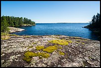 Mosses on granite slab, Windmill Rock Cove. Voyageurs National Park ( color)