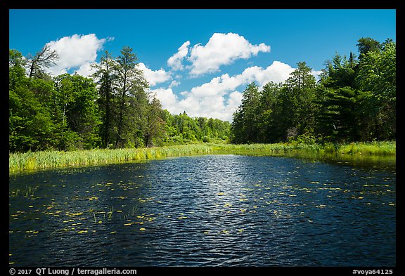 Channel with aquatic plants, Big Island. Voyageurs National Park (color)