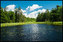 Channel with aquatic plants, Big Island. Voyageurs National Park ( color)