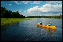 Canoe and aquatic grasses, Sand Point Lake. Voyageurs National Park ( color)