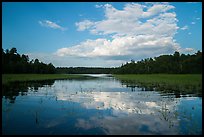 Reflections in glassy water of small arm of Sand Point Lake. Voyageurs National Park ( color)