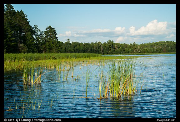 Northwest Bay, Crane Lake. Voyageurs National Park (color)