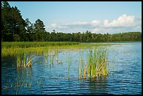 Northwest Bay, Crane Lake. Voyageurs National Park ( color)