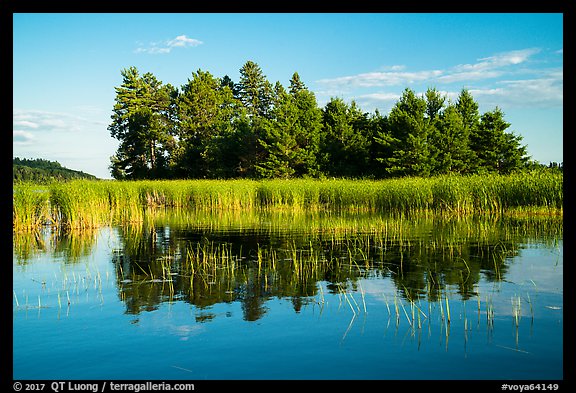 Trees, grasses, and reflections, Northwest Bay, Crane Lake. Voyageurs National Park (color)