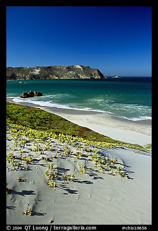 Sand dunes and Cuyler Harbor, afternoon, San Miguel Island. Channel Islands National Park, California, USA.