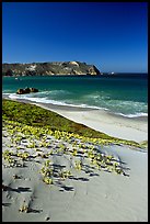 Sand dunes and Cuyler Harbor, afternoon, San Miguel Island. Channel Islands National Park ( color)