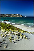 Sand dunes and Cuyler Harbor, afternoon, San Miguel Island. Channel Islands National Park, California, USA.