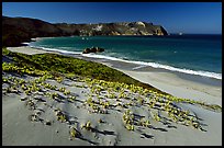 Sand dunes and Cuyler Harbor, afternoon, San Miguel Island. Channel Islands National Park ( color)