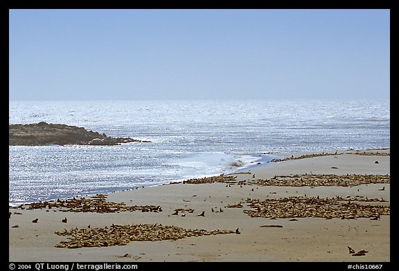 Point Bennett, mid-day, San Miguel Island. Channel Islands National Park (color)