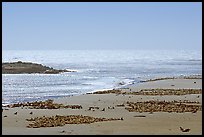 Point Bennett, mid-day, San Miguel Island. Channel Islands National Park, California, USA.