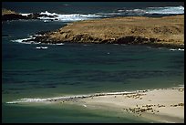 Point Bennet and rookeries, mid-day, San Miguel Island. Channel Islands National Park ( color)