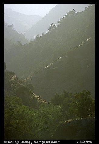 Ridges, Santa Cruz Island. Channel Islands National Park (color)