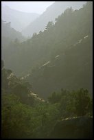 Ridges, Santa Cruz Island. Channel Islands National Park, California, USA.