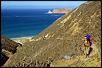 Backpacker going up Nidever canyon trail, San Miguel Island. Channel Islands National Park, California, USA. (color)